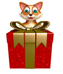 fun cat cartoon character with gift box