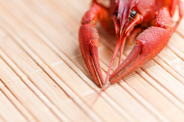 boiled crawfish on the background of reeds