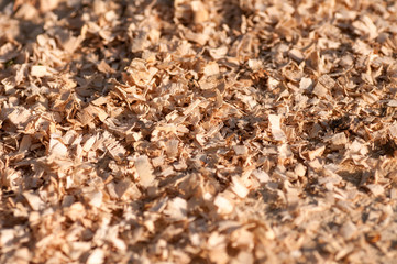 sawdust closeup