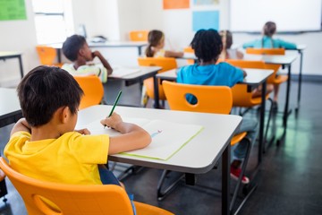 Pupils working at their desk in class