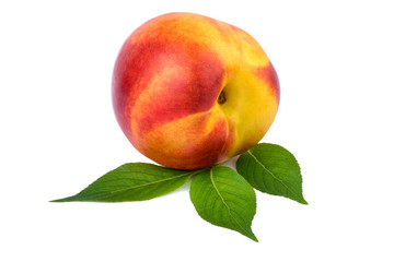 Nectarine one fruit on white