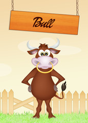 bull in the farm