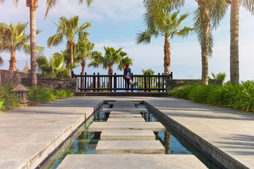 Fototapeta premium Zen garden