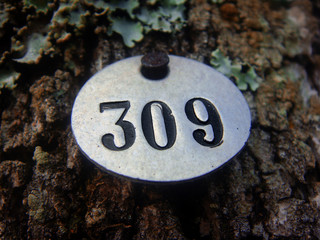309 number