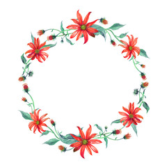 Obraz premium Watercolor wreath or garland. Yellow daisies with green leaves on white background. Can be used as invitation or greeting card, print, your banner.