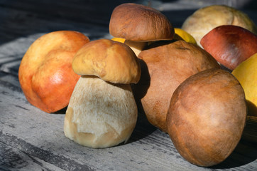 mushrooms on a wooden table