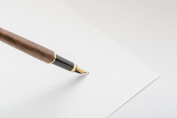 inlaid wood pen