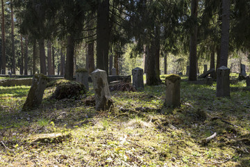 Заброшенное финское кладбище в Сортавала, Карелия