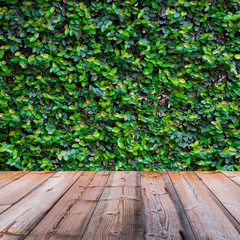 Green Creeper Texture