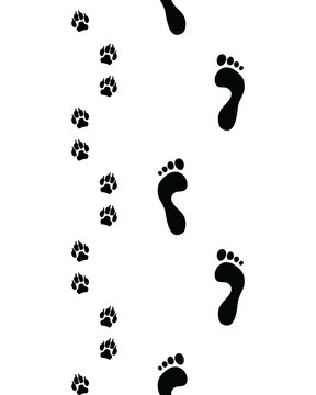 Prints Of Human Feet And Dog Paws,seamless Pattern, Vector