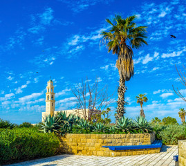 In Abraham Shechterman Garden