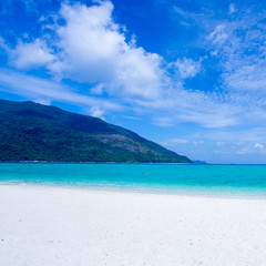 Fototapeta premium beach and tropical sea