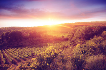 tuscany landscape 