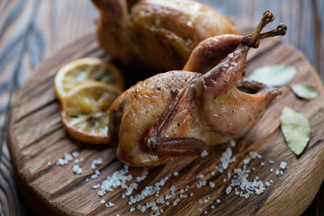 Close-up of whole baked quails, selective focus, studio shot