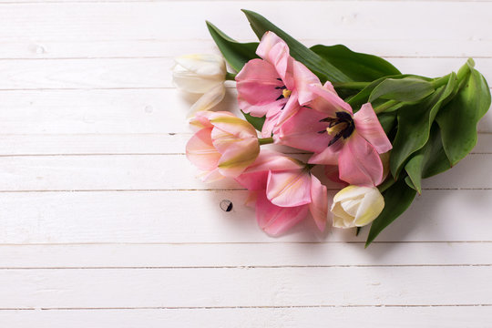 Background with fresh pink  tulip flowers