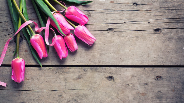 Bright pink spring tulips  with ribbon on vintage wooden backgro