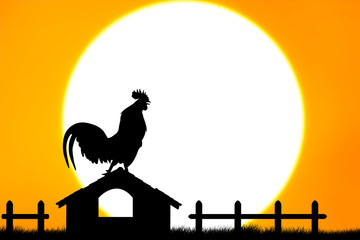 Roosters crow stand on housetop big sunset background