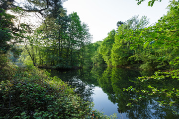 Fototapeta na wymiar Idyllic Lake in Krefeld