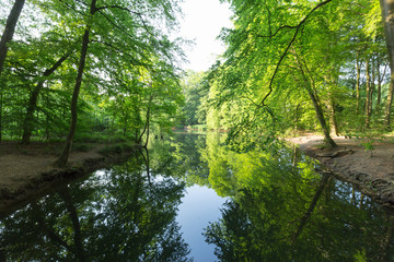 Tranquil Water on Lake