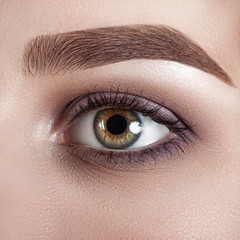 Obraz premium Female eye close-up. Macro. Perfect makeup and eyebrows. Beautiful green eyes