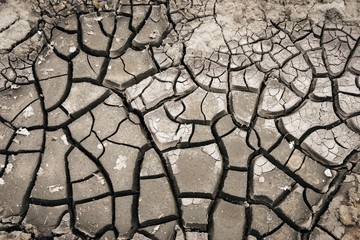 Surface of a grungy dry cracking parched earth for background