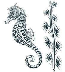 seahorse between seagrass, vintage illustration © desole