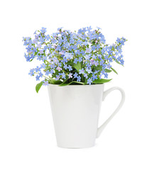 forget-me-not