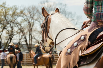 In the saddle horse on Western race, beautiful paint horse in a barrel racing event at a rodeo. - obrazy, fototapety, plakaty