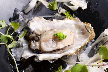 Oyster