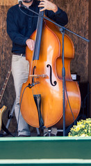 playing the cello    © rusty elliott
