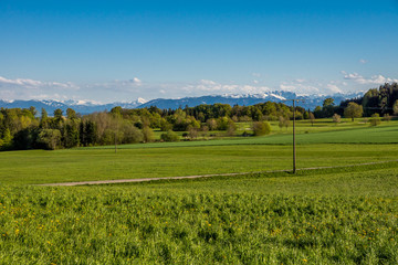 Alpenpanorama mit grüner Wiese und Landstraße