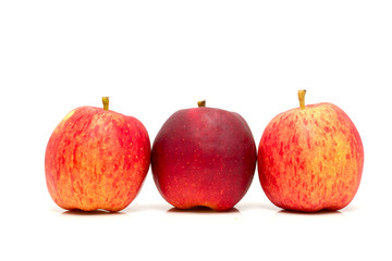 Red ripe apple
