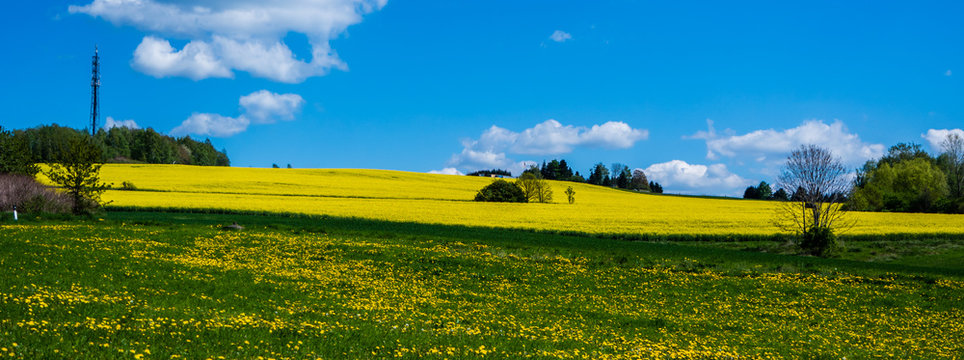 Panorama Frühlingswiese © Animaflora PicsStock