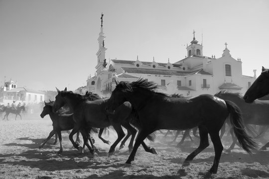 la saca de las yeguas en el rocio