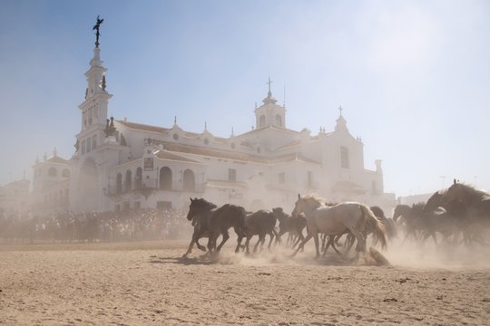 El Roc&iacute;o la saca de la yeguas