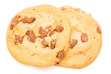 Chocolate Chip Cookie isolated on white