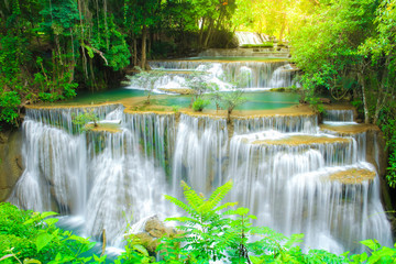 Panele Szklane  Wodospad w głębokim lesie w Tajlandii