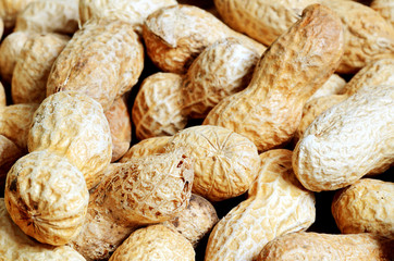 Close-up of dried peanuts