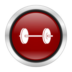 red round metallic vector icon