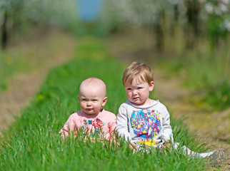 Two small children sit in a green grass.