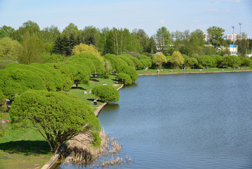 Obraz premium Big City pond and park of Victory in Zelenograd, Russia