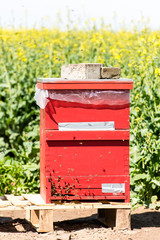 Bienenstand mit Holzbeuten 07