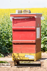 Bienenstand mit Holzbeuten 08
