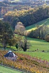 Allassac (Corrèze)