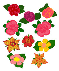 A set of images of different flowers.