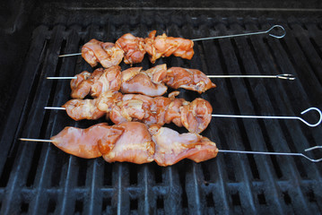 Chicken Teriyaki Kabobs Cooking on a Summer Grill