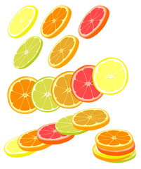 Slices of different citrus fruits on a white background.