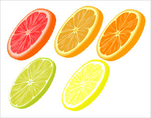 Fototapeta na wymiar Slices of different citrus fruits on a white background.