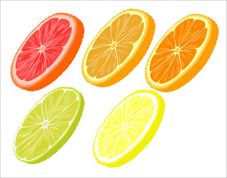 Slices of different citrus fruits on a white background.