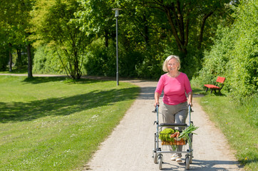Elderly woman using a walker to do her shopping